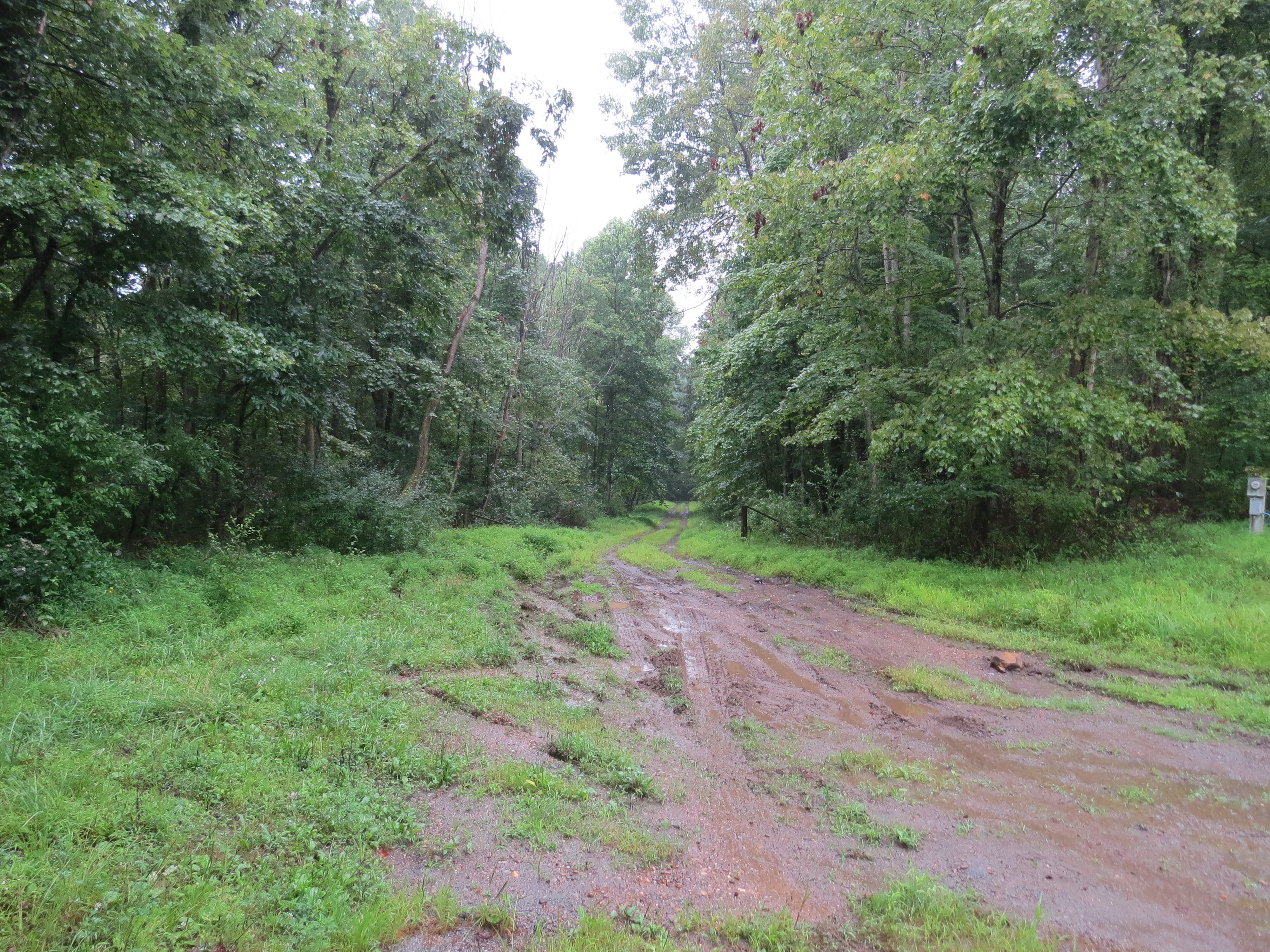`br`-entrance to Hahn`driveway - muddy (orig)-2281.jpeg